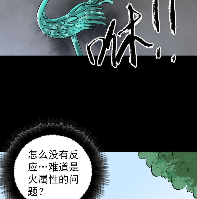 🍣天降横祸 第308话 浴火重生 第47页