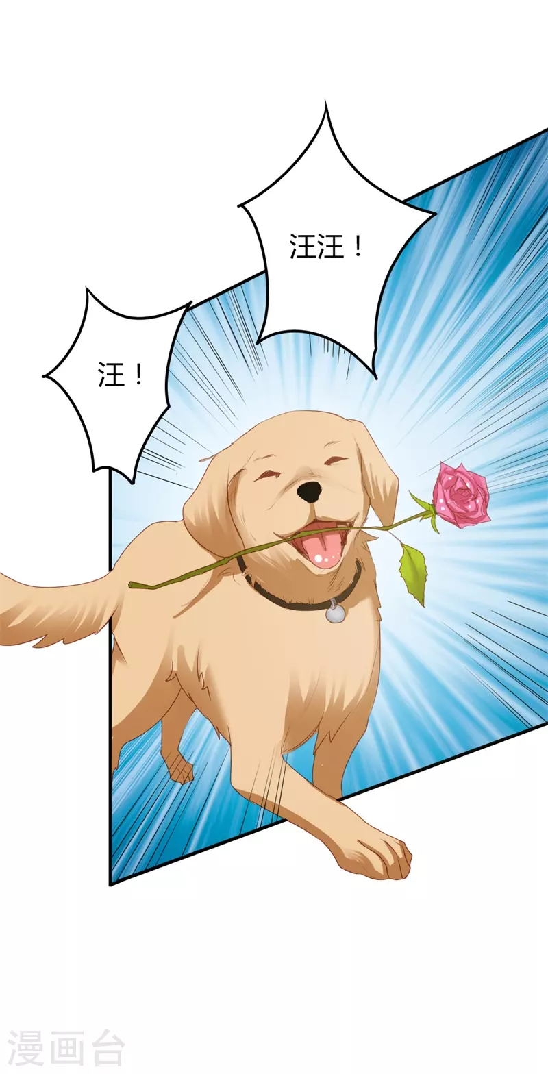 第37话 能原谅我吗-第37话