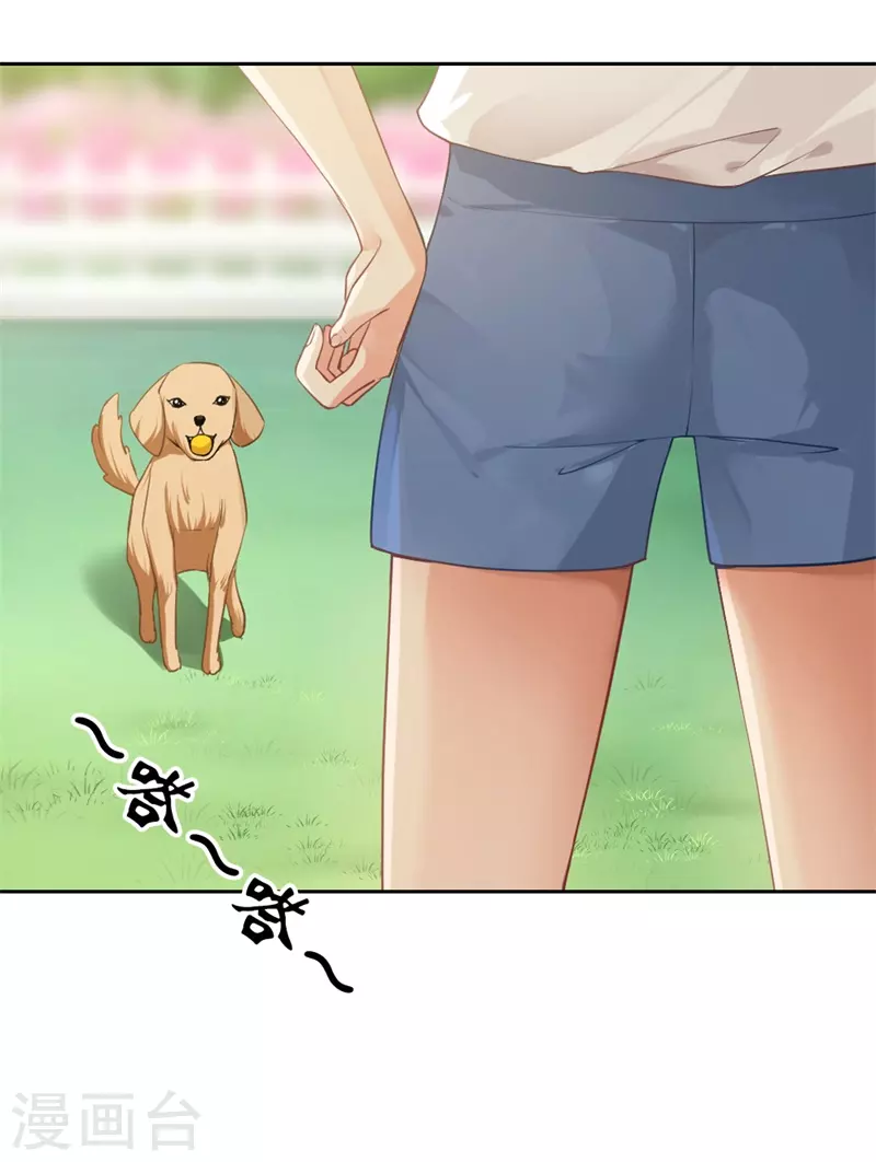 第5话 你是猪吗-第5话