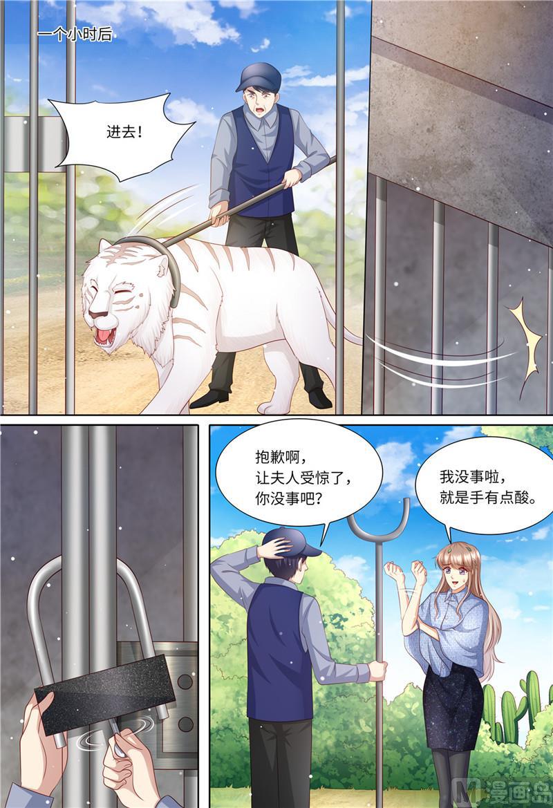 🍣天价宠妻 总裁夫人休想逃 第197话 恶人有恶报 第11页