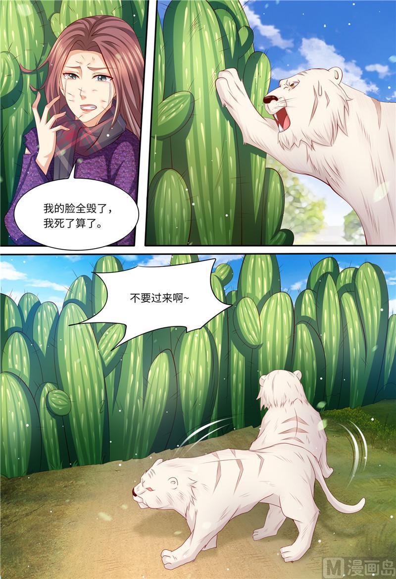 🍣天价宠妻 总裁夫人休想逃 第197话 恶人有恶报 第7页