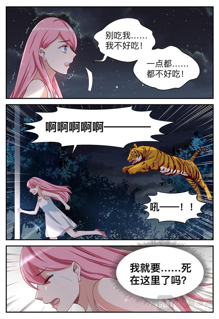 第15话 蠢女人-第15话