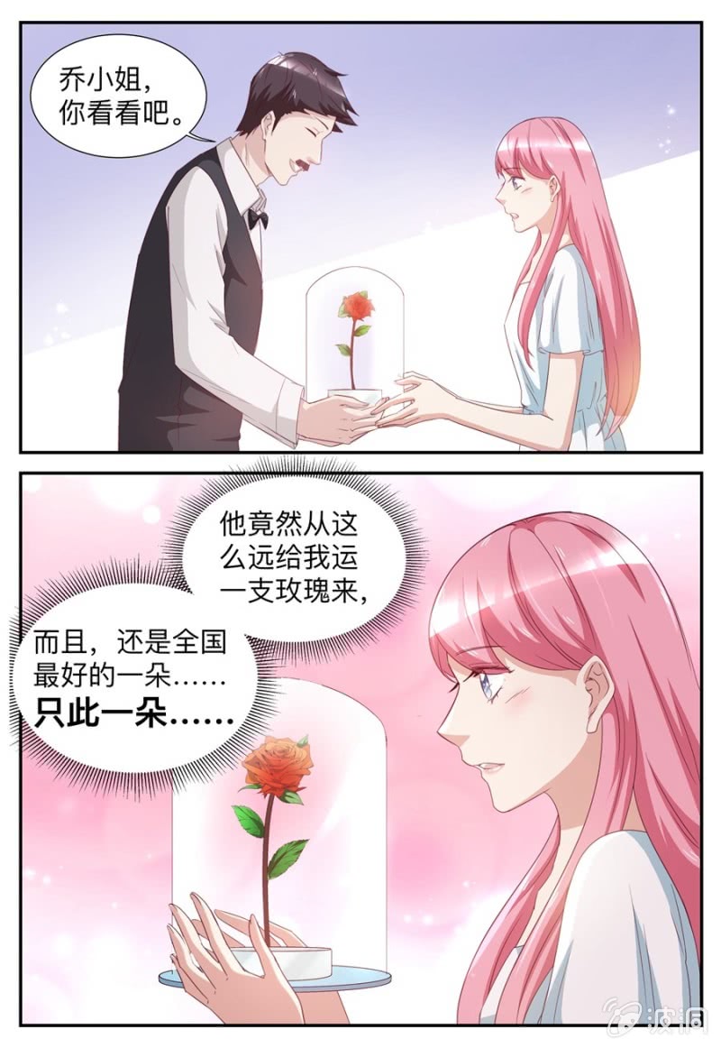 第53话 玫瑰花-第53话