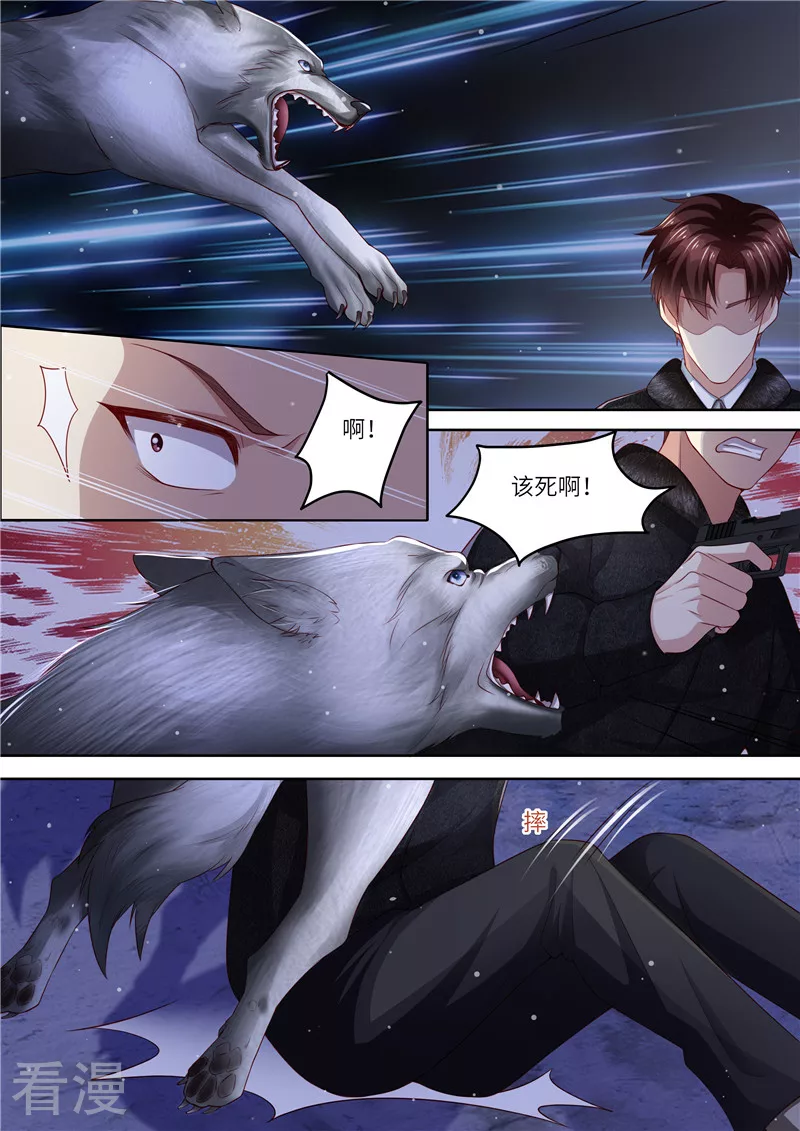 第308话 偷袭-第309话