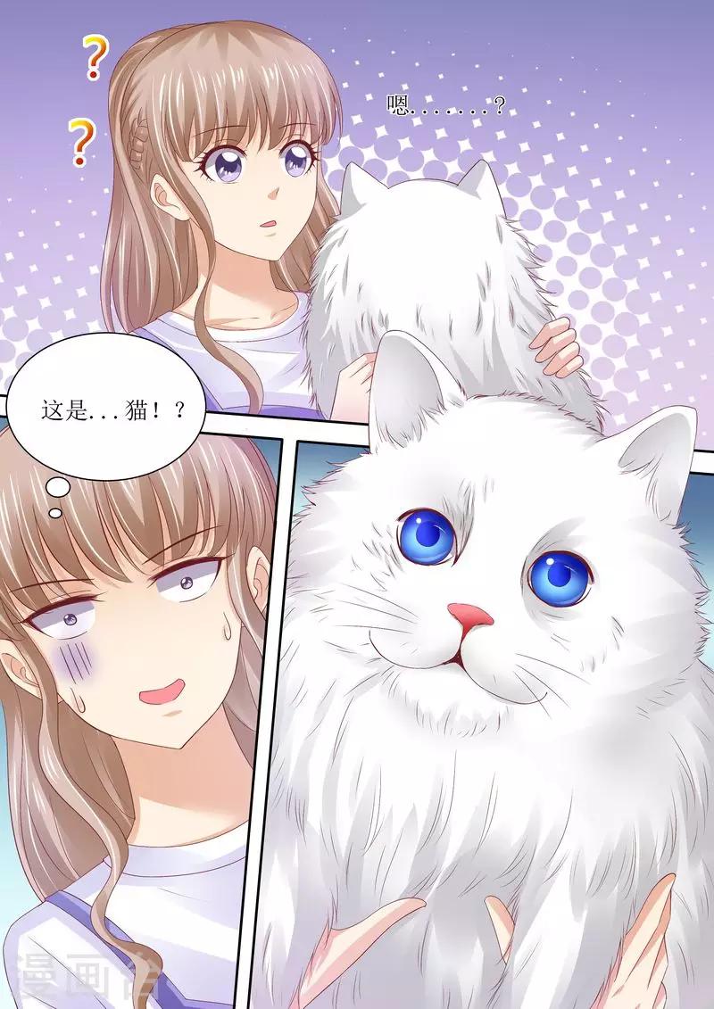 第72话 没有爱的婚姻-第73话