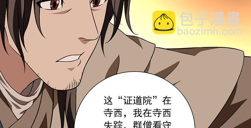 🍣天龙八部 第114话 镜中影 第33页