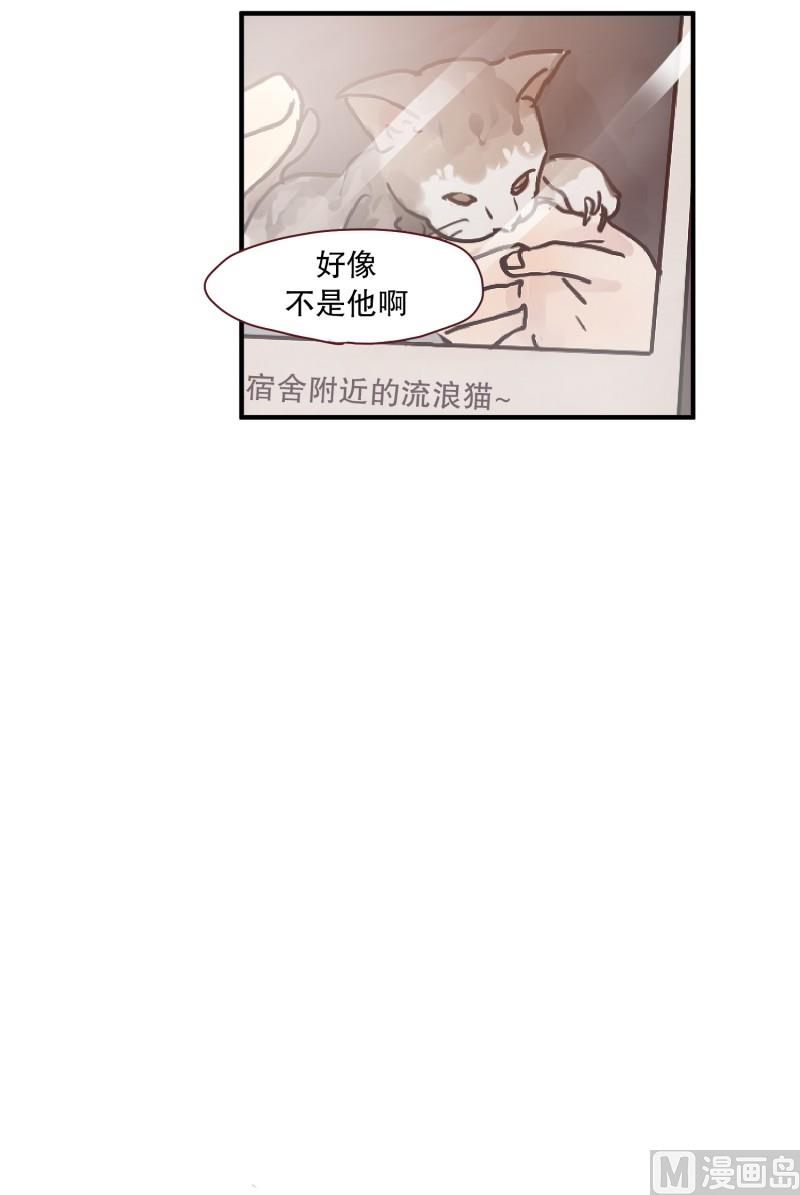 59.猫妖（二）-第59话