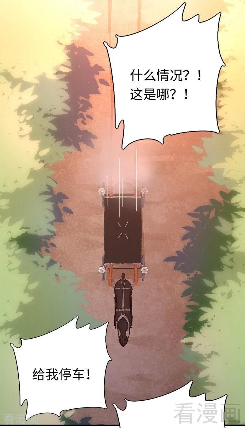 第134话 行刺？-第135话