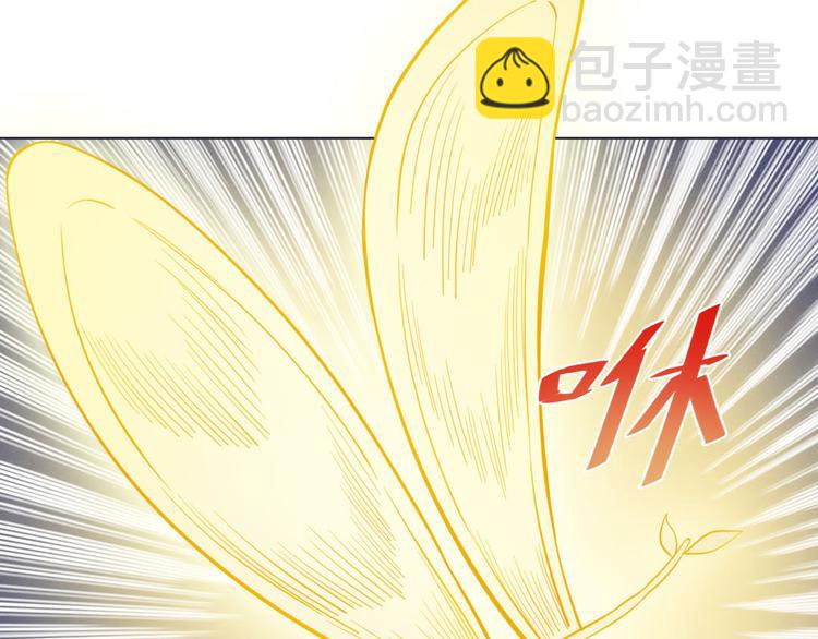 第17话 召唤月桂枝(1/2)-第17话
