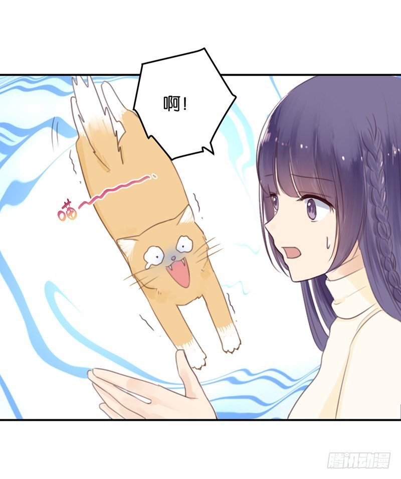 分歧-第9话