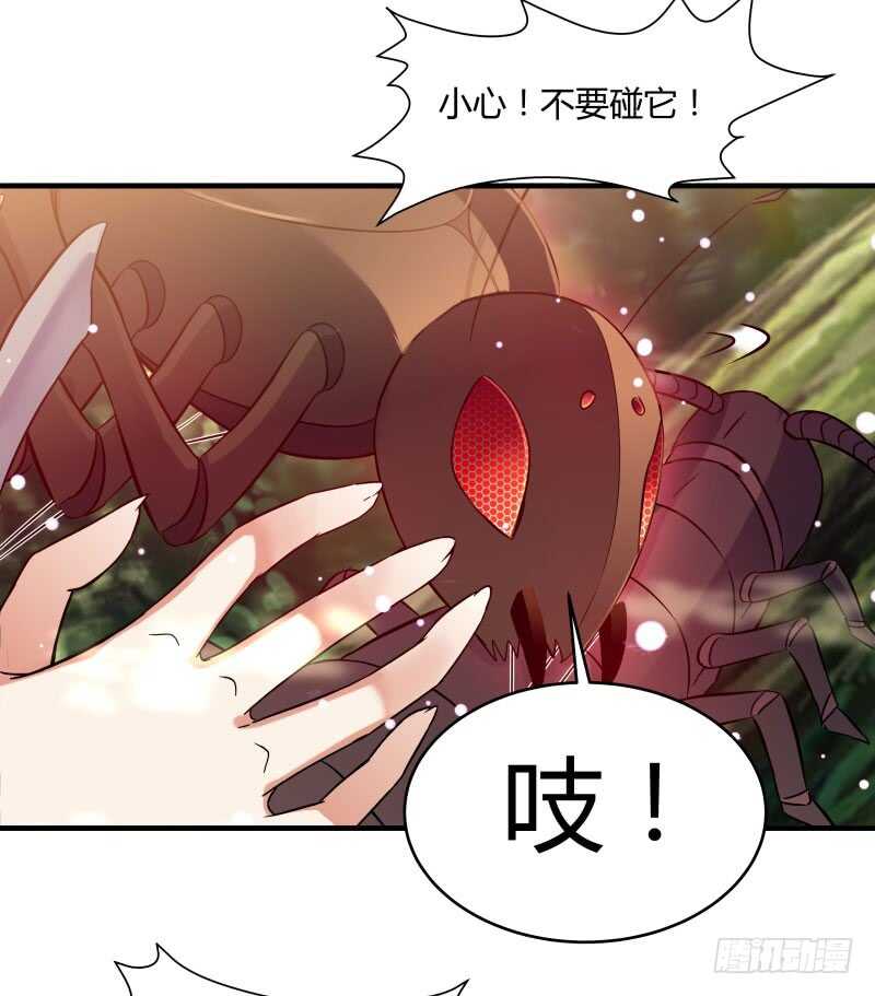 041 苗疆雨林-第43话