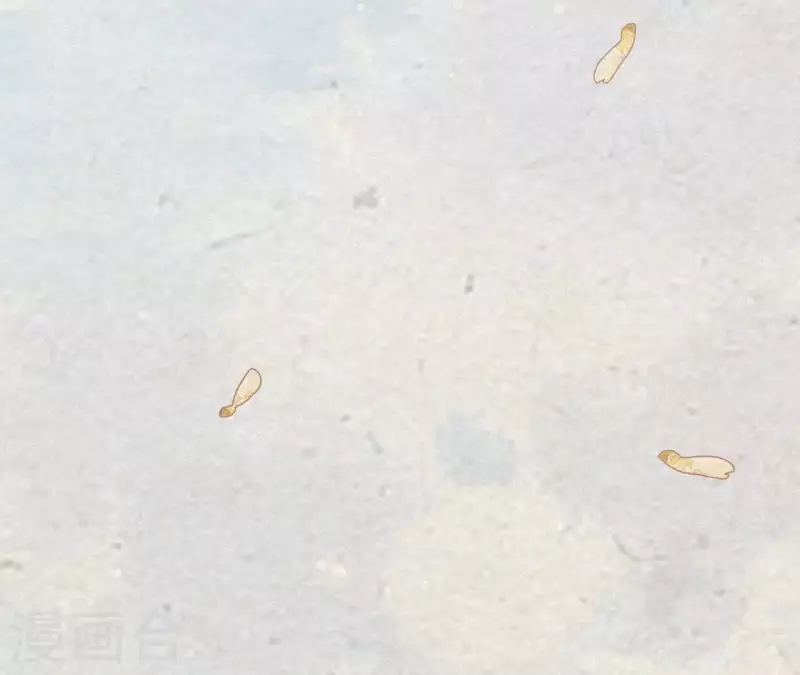 第21话 三弟，你没事吧？(1/2)-第21话