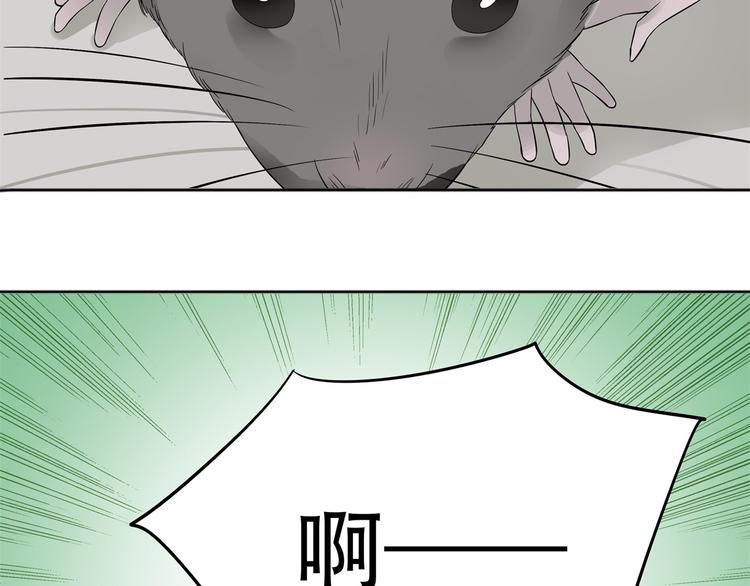 第二十章 为了你我愿意付出一切-第33话