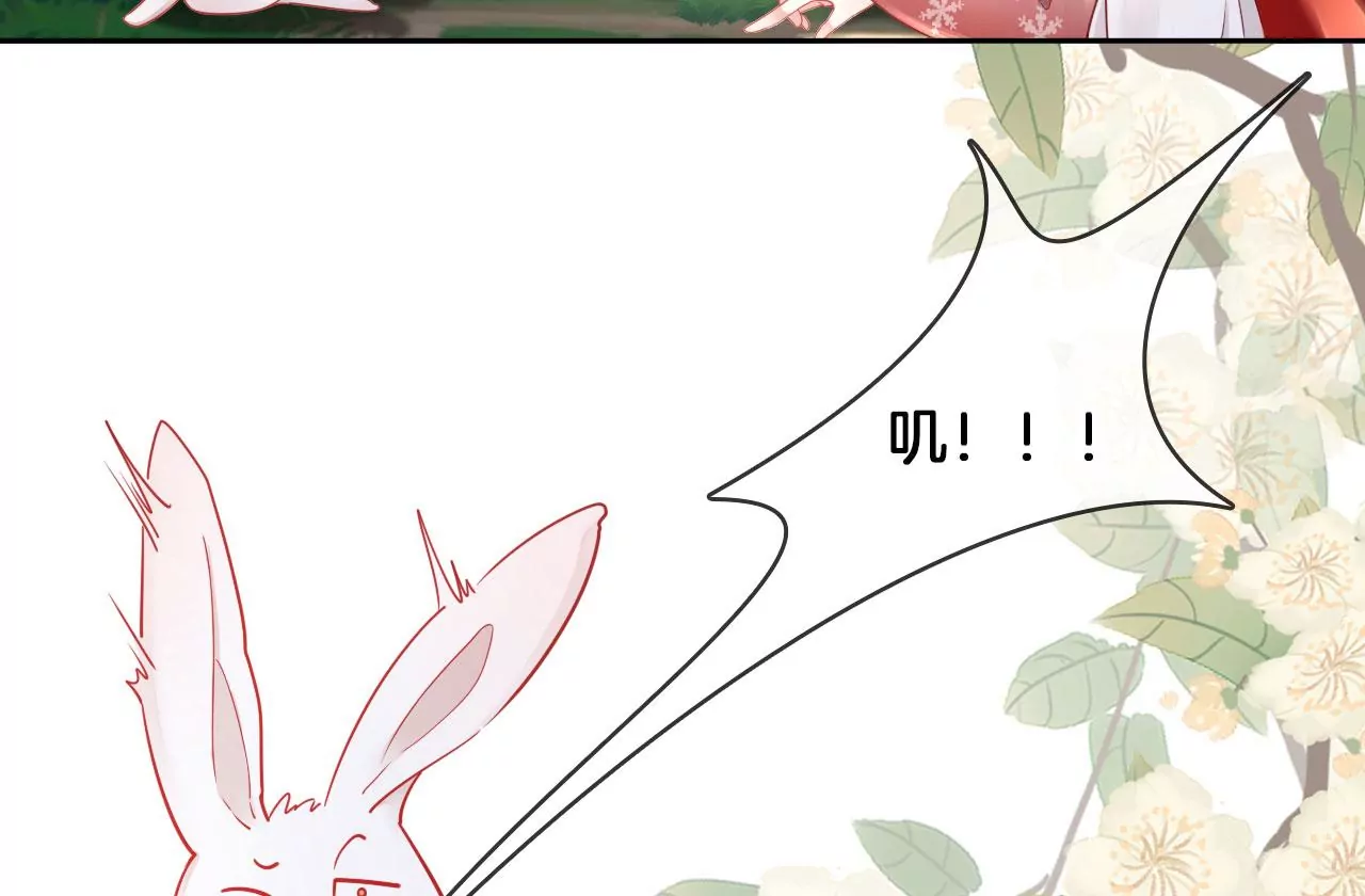 🍣天下无双 第27话  叽叽！叽叽叽！ 第19页