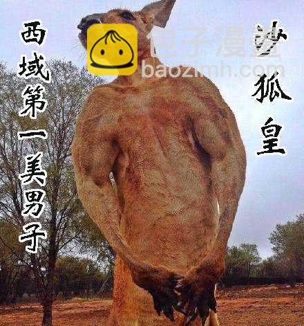 🍣铁姬钢兵 下一站，文曲王朝 第11页