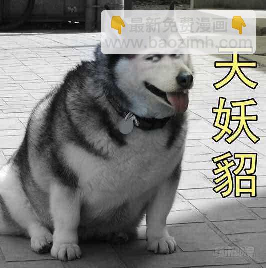 🍣铁姬钢兵 慕总管、慕同学 第15页