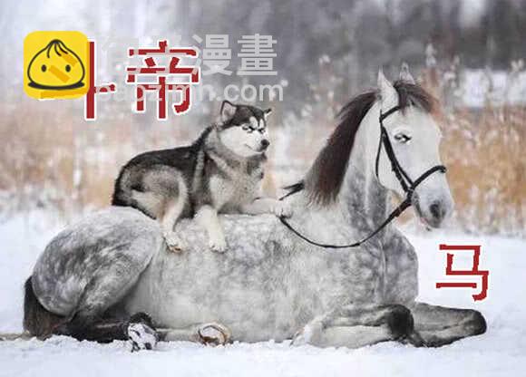🍣铁姬钢兵 你不是我的学生该多好 第16页