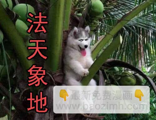 🍣铁姬钢兵 神尸战体 第16页