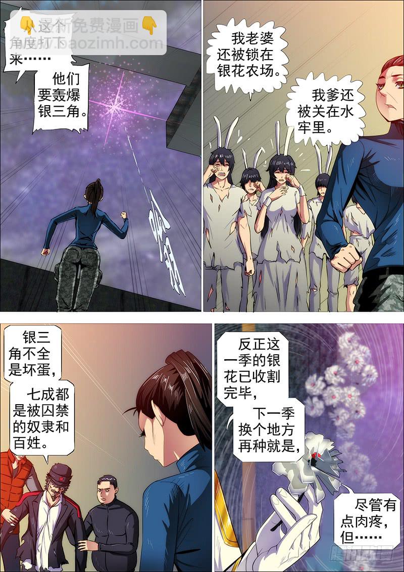 🍣铁姬钢兵 双化身 第4页