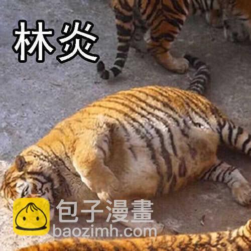 🍣铁姬钢兵 我追你~ 第16页