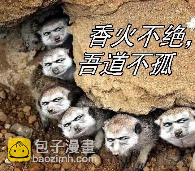 🍣铁姬钢兵 铁水刑 第16页