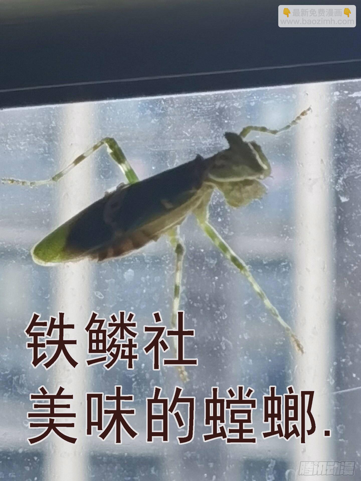 🍣铁姬钢兵 你的灵魂 第12页