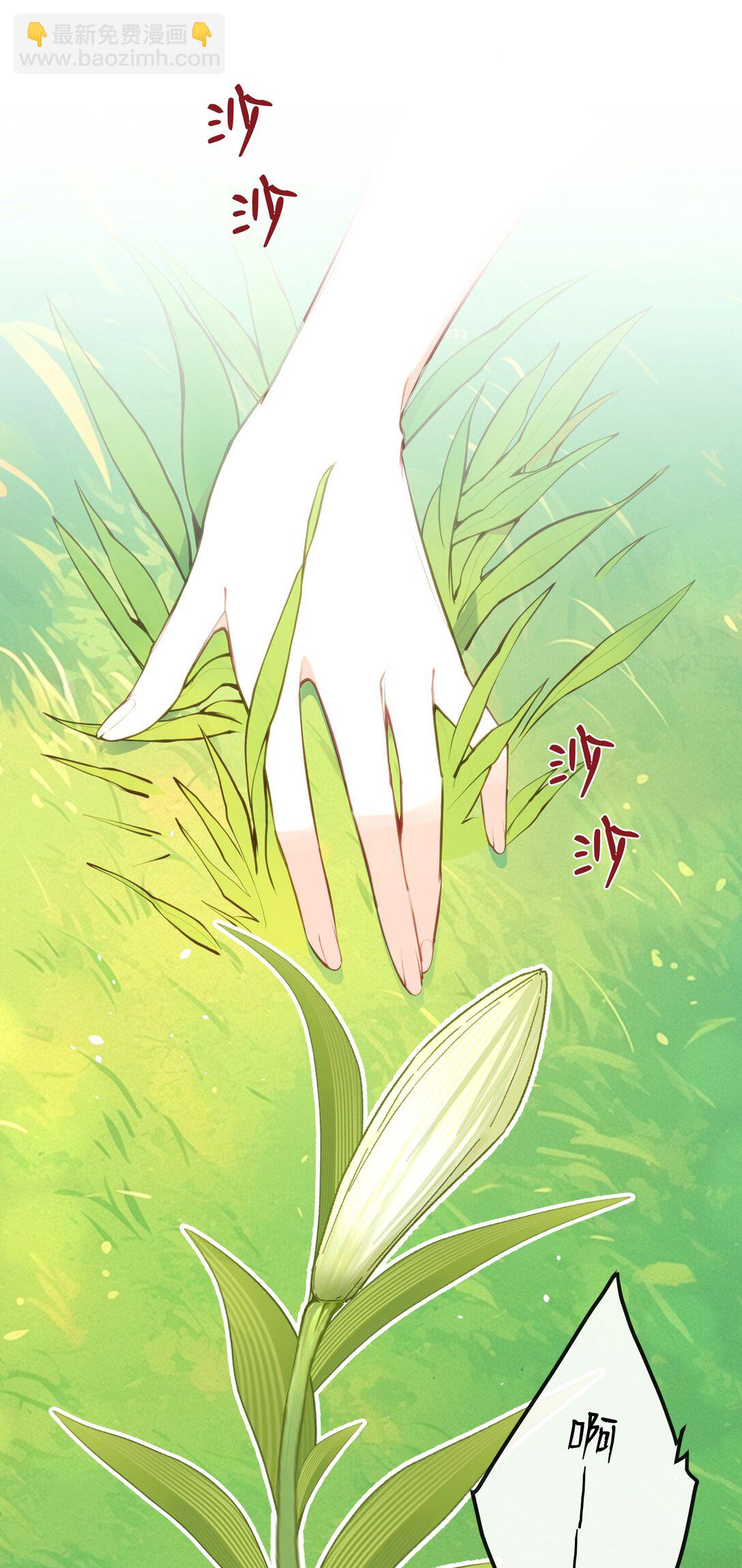 039 盛开的百合花（上）-第41话