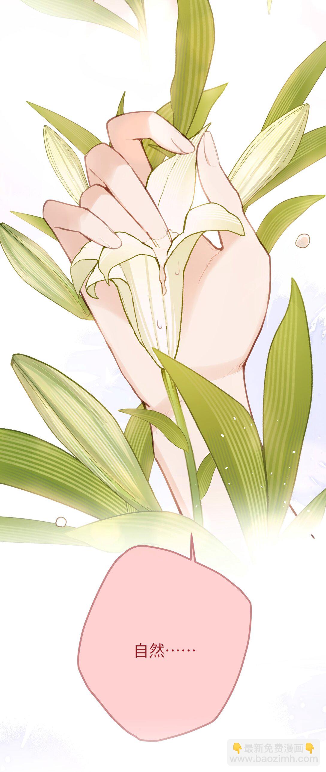 039 盛开的百合花（上）-第41话