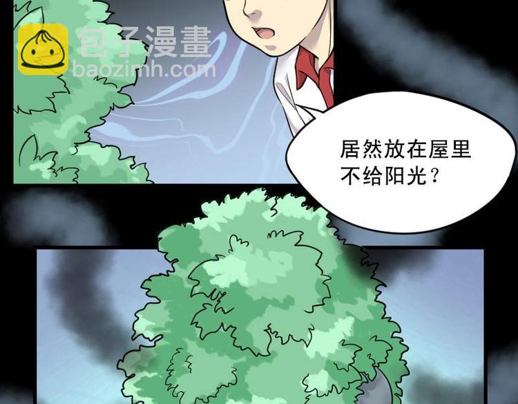 第11话 阴沉木 2-第11话