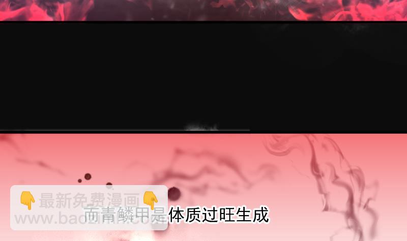 第195话 青鳞甲 3(1/2)-第195话