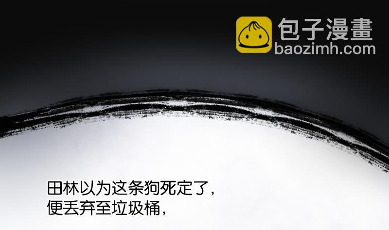 第229话 杀人凶手 5(1/2)-第229话