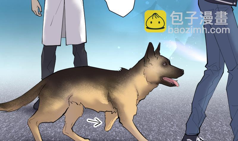 第269话 运尸体的兽医 4(1/3)-第269话