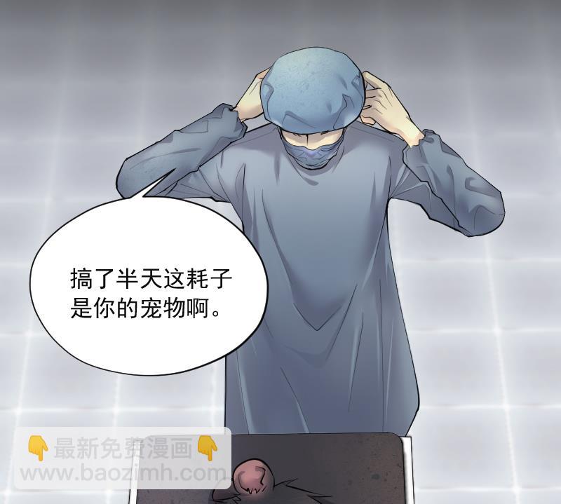 第269话 运尸体的兽医 4(1/3)-第269话