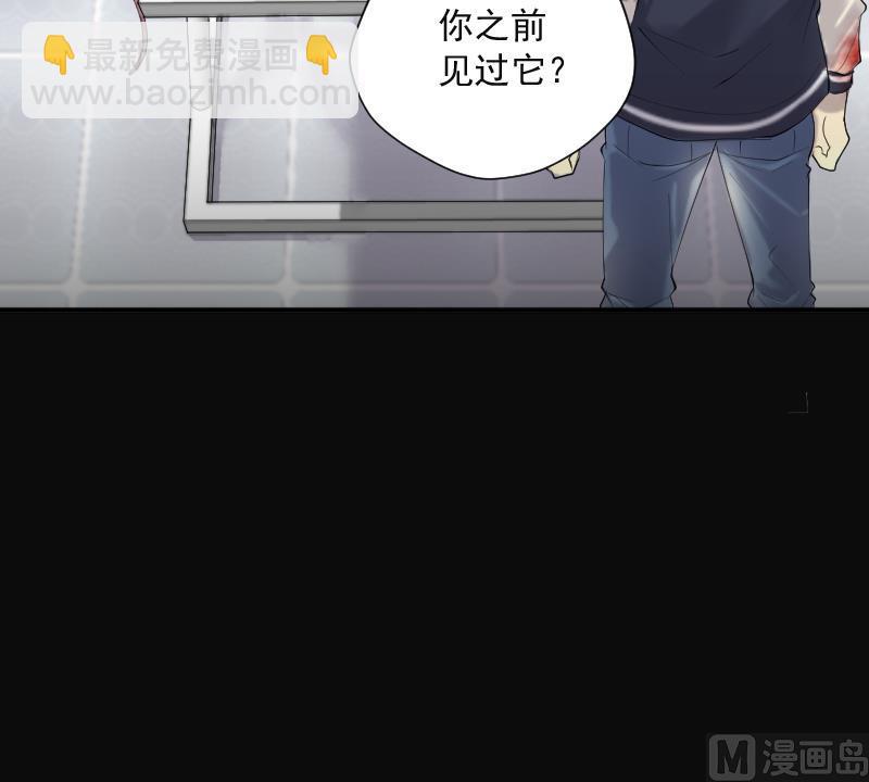 第269话 运尸体的兽医 4(1/3)-第269话