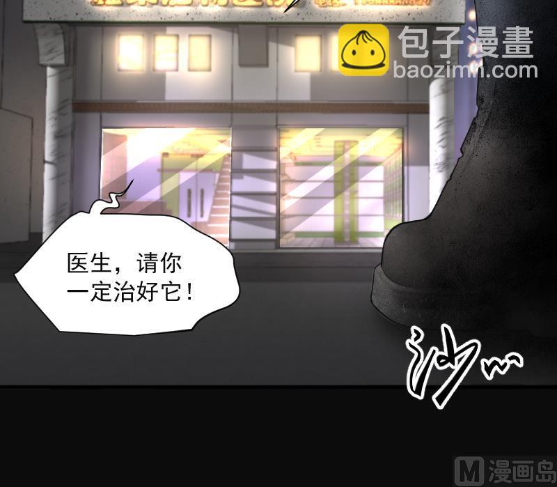 第269话 运尸体的兽医 4(1/3)-第269话