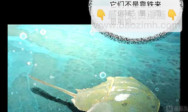 第353话 落惊发 2(1/2)-第353话
