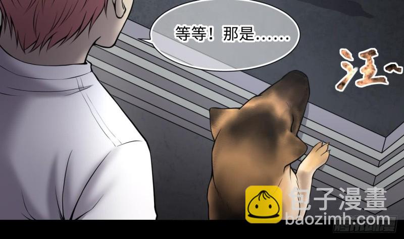 第385话 盗门之术 3(1/2)-第383话