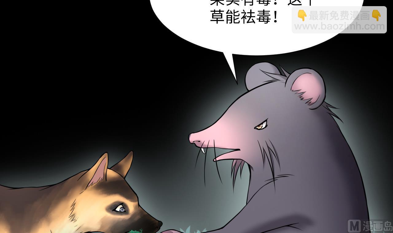 第389话 灯龙果 2(1/2)-第387话