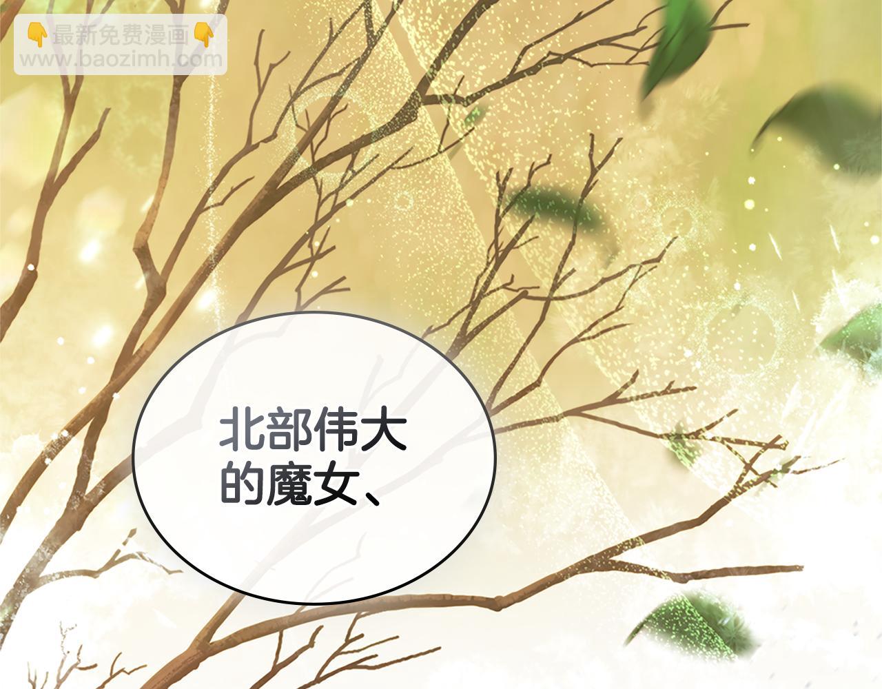 第20话 感知魔力(1/4)-第21话