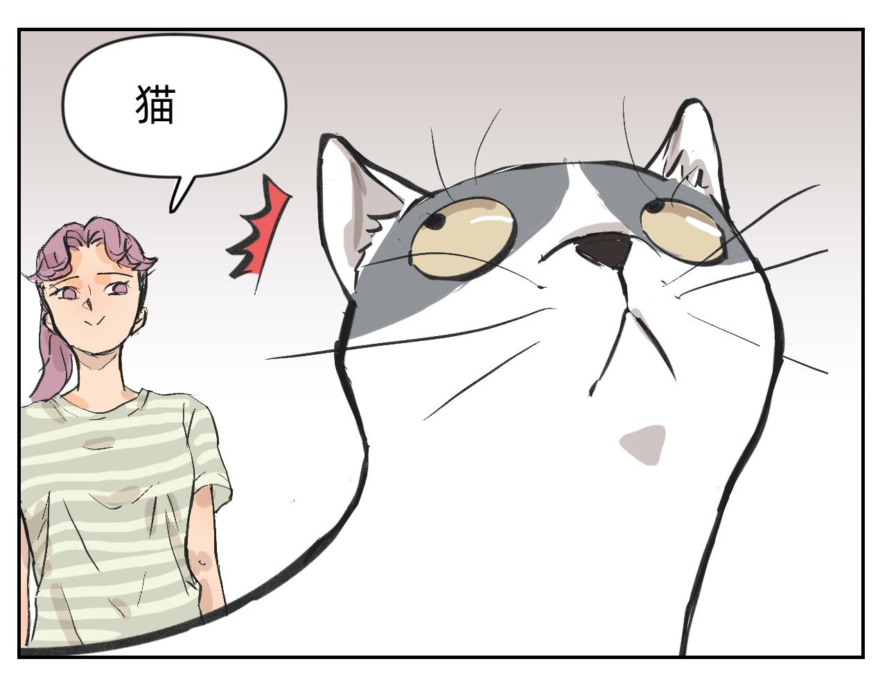 分歧的终极解决办法1-第13话