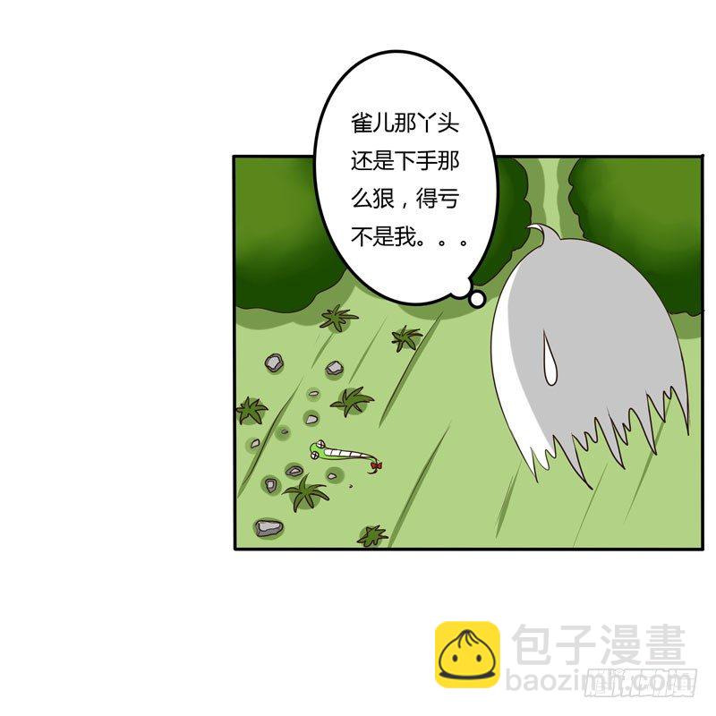 雀儿-第31话