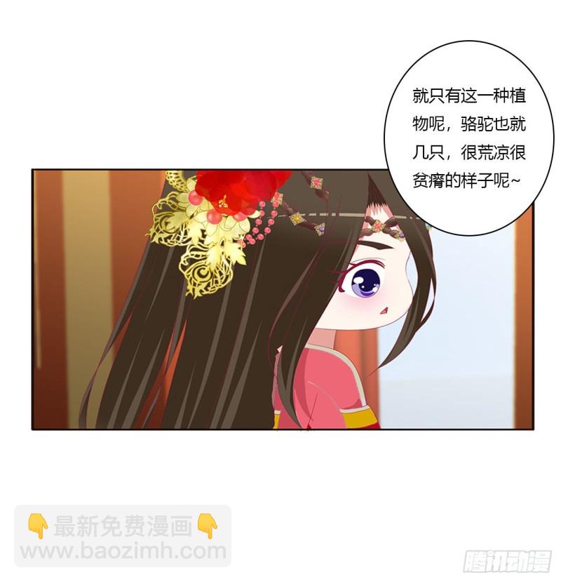无怨无悔(1/2)-第393话