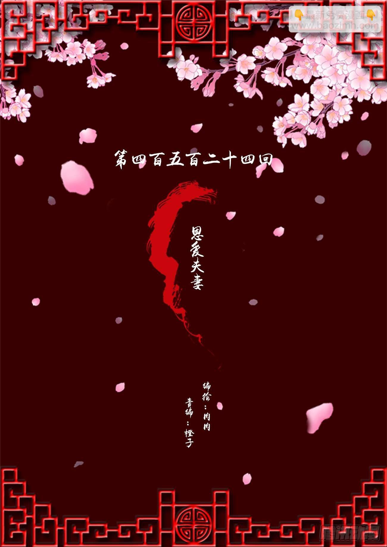 恩爱夫妻(1/2)-第521话