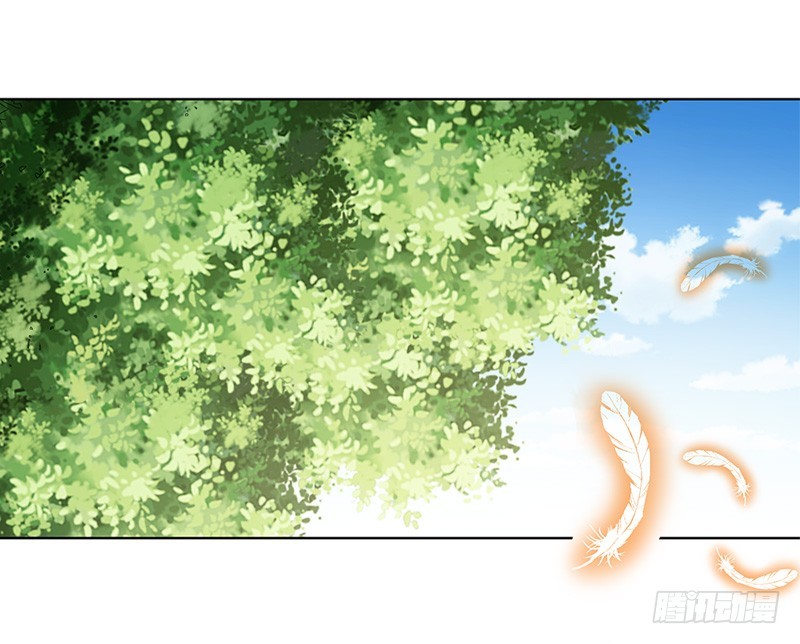 通天嗜宠-金翅比翼鸟暴走-第201话