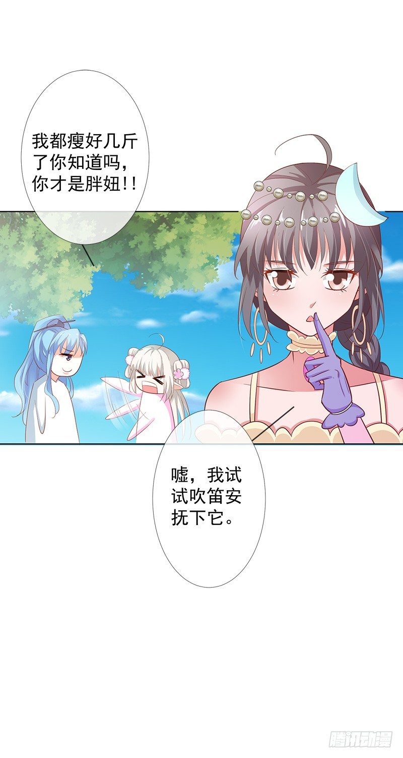 通天嗜宠-金翅比翼鸟暴走-第201话