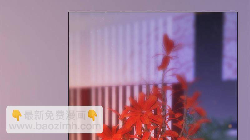 第12话：深夜暗杀(1/2)-第25话