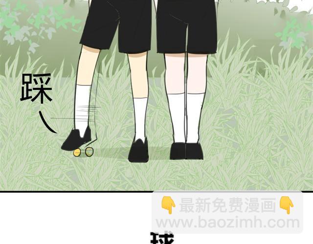 番外篇1 白鹿的球去哪儿了？-第17话