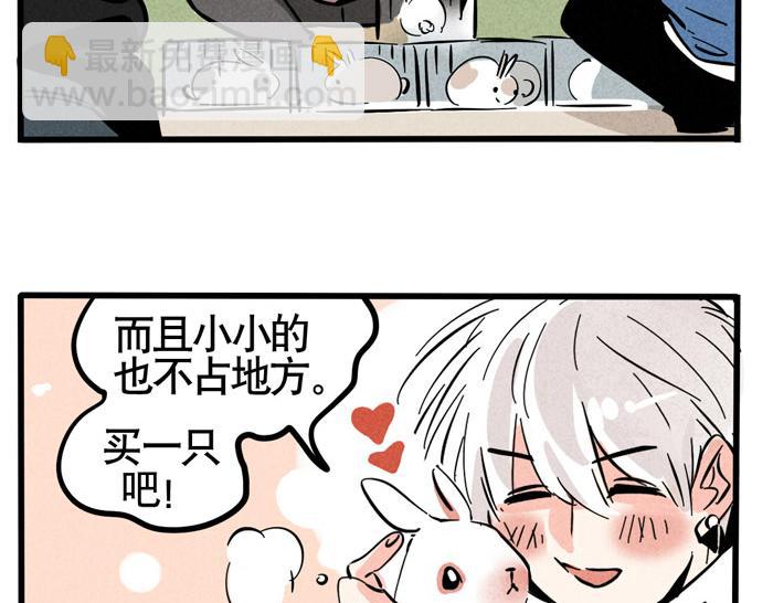 第49话 我要养兔子(1/2)-第49话