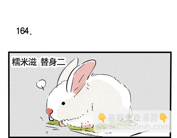 第49话 我要养兔子(1/2)-第49话