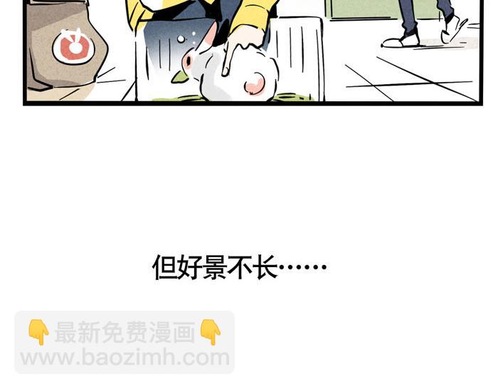 第49话 我要养兔子(1/2)-第49话